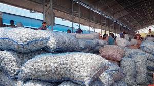 The Matel International - WhatsApp Image 2025-09-29 at 10.23.55 AM (3)